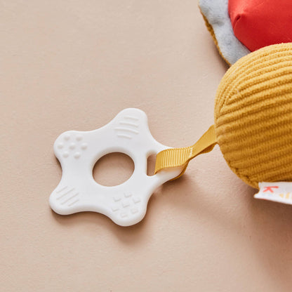 Dragonfly Activity Toy